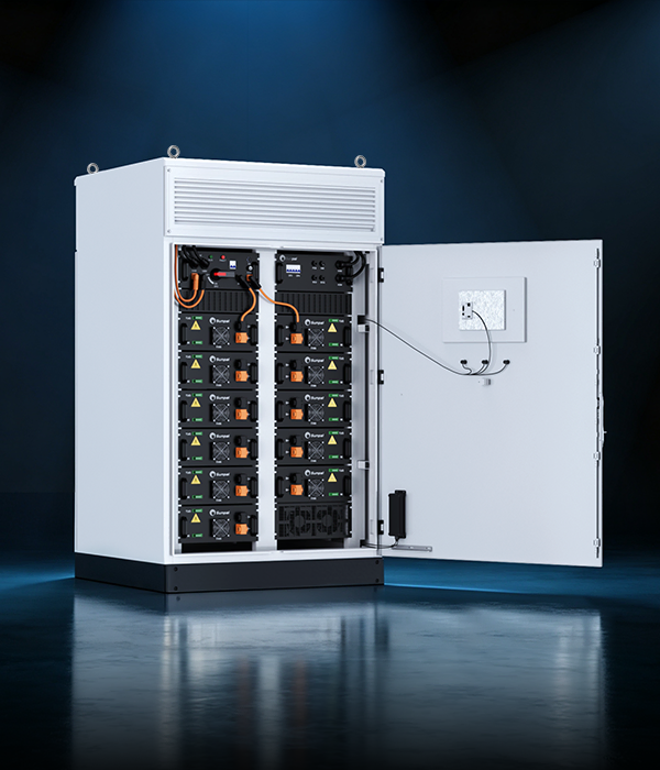 3D rendering of the ECO-E101WX energy storage cabinet with an open door, showcasing dual-column rack-mounted battery packs, integrated control units, and internal wiring against a studio background.