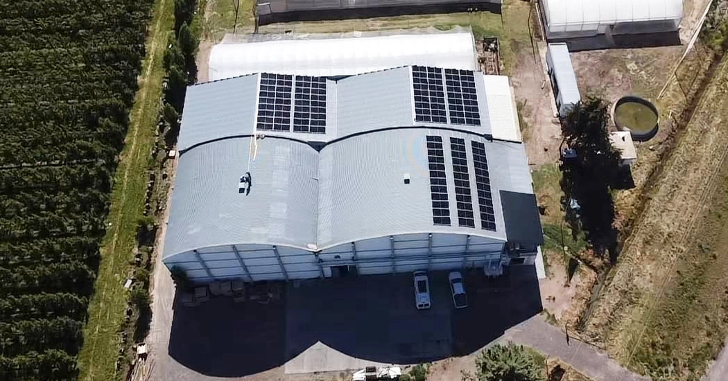 Aerial view of solar panel arrays installed on the curved roof of an agricultural warehouse in Argentina.